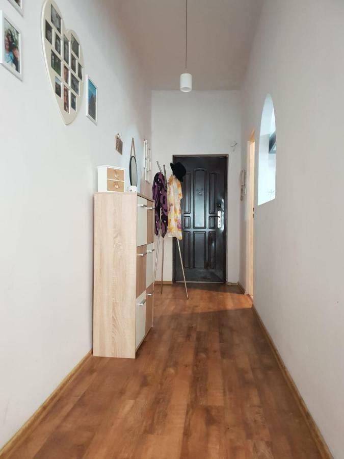 Appartement Apartament Danusia à Jelenia Góra Extérieur photo